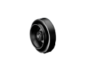Fanlar